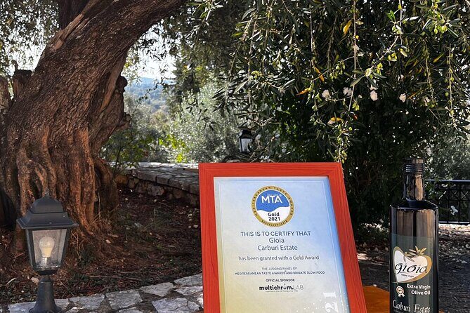 Cooking Classes and olive oil tasting.The real taste of Greece! - Wood-fired cooking with George and the cooks: learn by doing