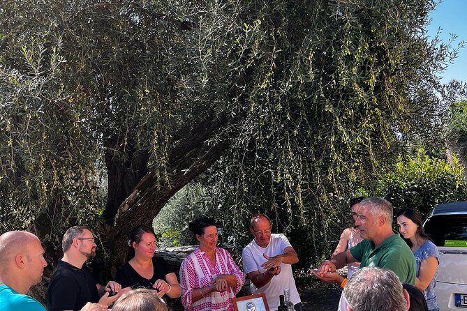 Cooking Classes and olive oil tasting.The real taste of Greece! - Value and price: is $120.68 a good deal?