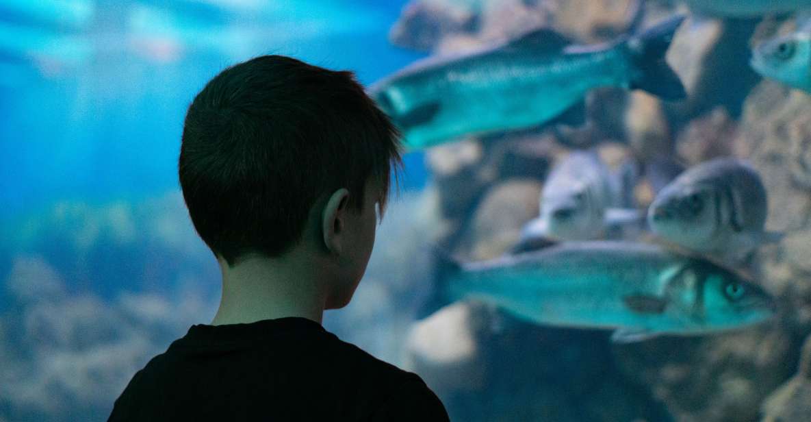 Corfu: Aquarium Entry Ticket with Guided Tour - Key points to know before you book