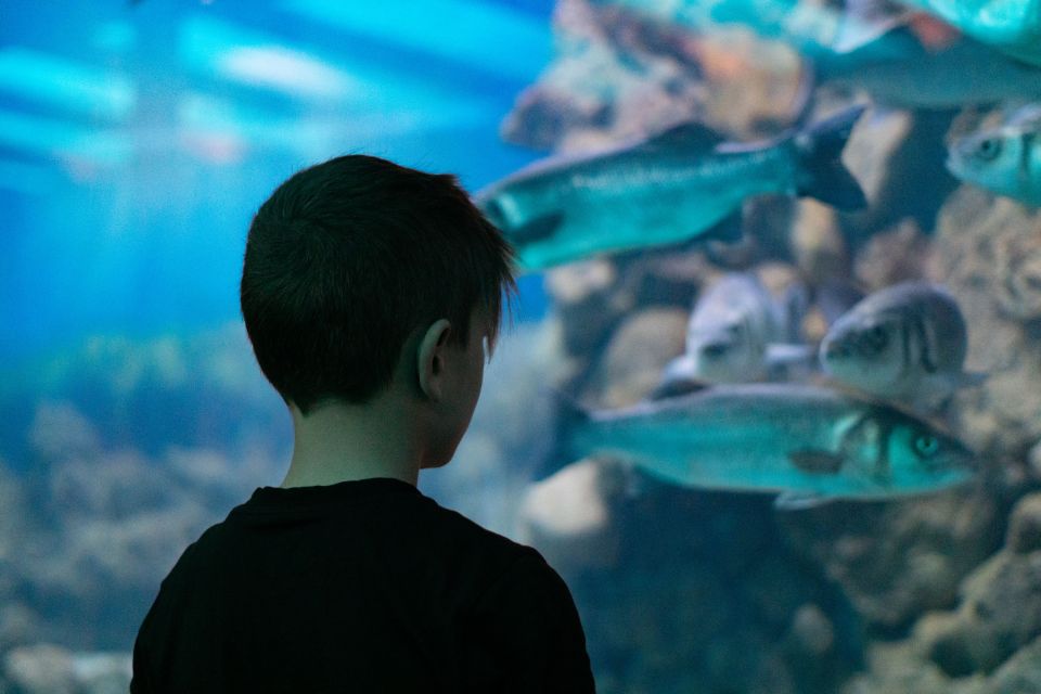 Corfu: Aquarium Entry Ticket with Guided Tour - What the Corfu Aquarium visit is really like