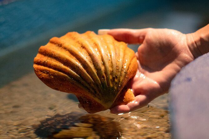 Corfu Aquarium Ticket with Tour Included - Stop 1 at Corfu Aquarium: Fish Tanks, Then a Reptile House