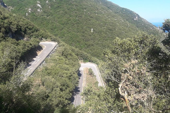 Corfu by bike: Countryside, Forests and Villages - Pickup, group size, and timing