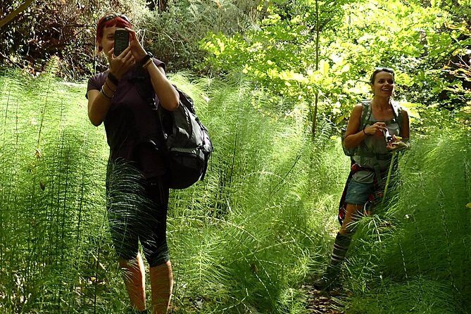 Corfu Countryside Hiking Tour - Why This Corfu Countryside Hike Feels Local, Not Staged