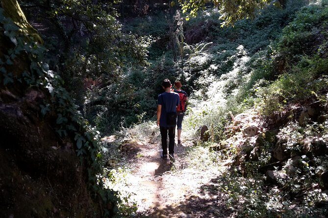 Corfu Countryside Hiking Tour - Price and Value: Is $42.01 Worth It?