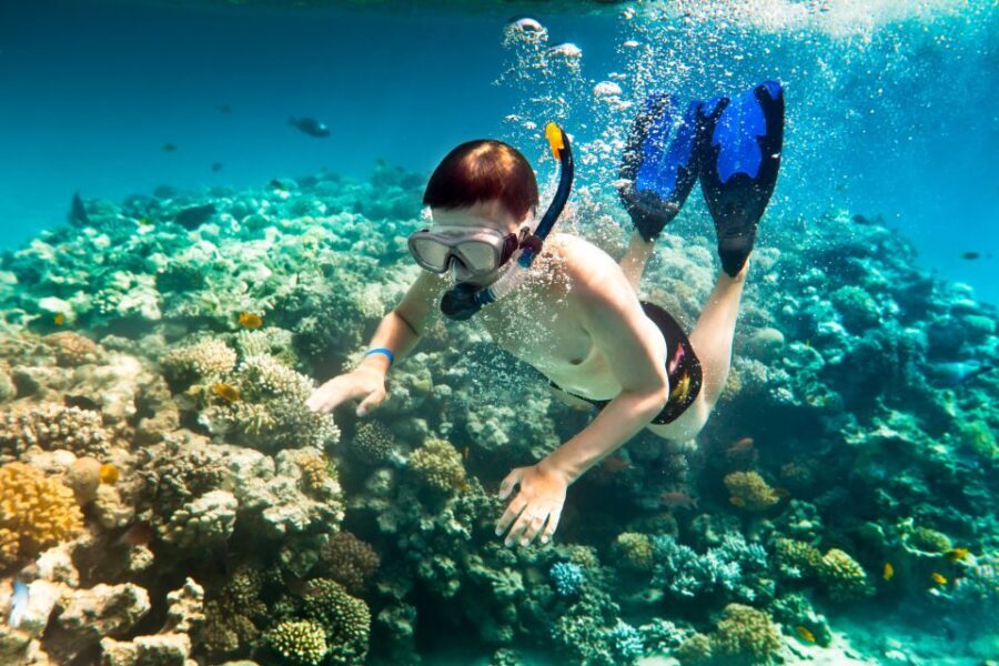 Corfu: Day Cruise to the Blue Lagoon with Visit to Syvota - Bella Vraka beach: the second swim stop that makes the day feel complete