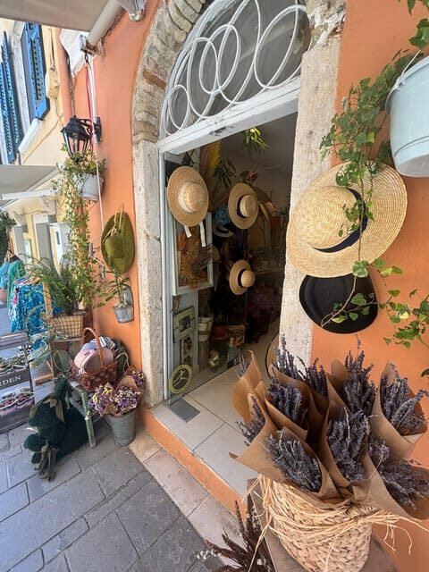 Corfu: Dog Sightseeing Tour - Getting bearings fast: the value of a small-group orientation