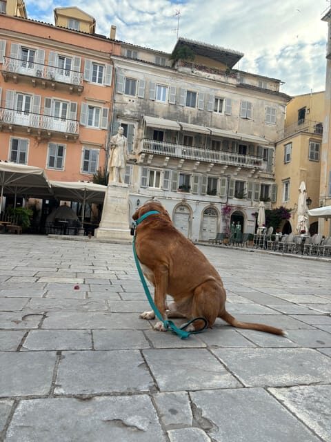 Corfu: Dog Sightseeing Tour - Esplanada: where the pace slows and the dog keeps the mood light