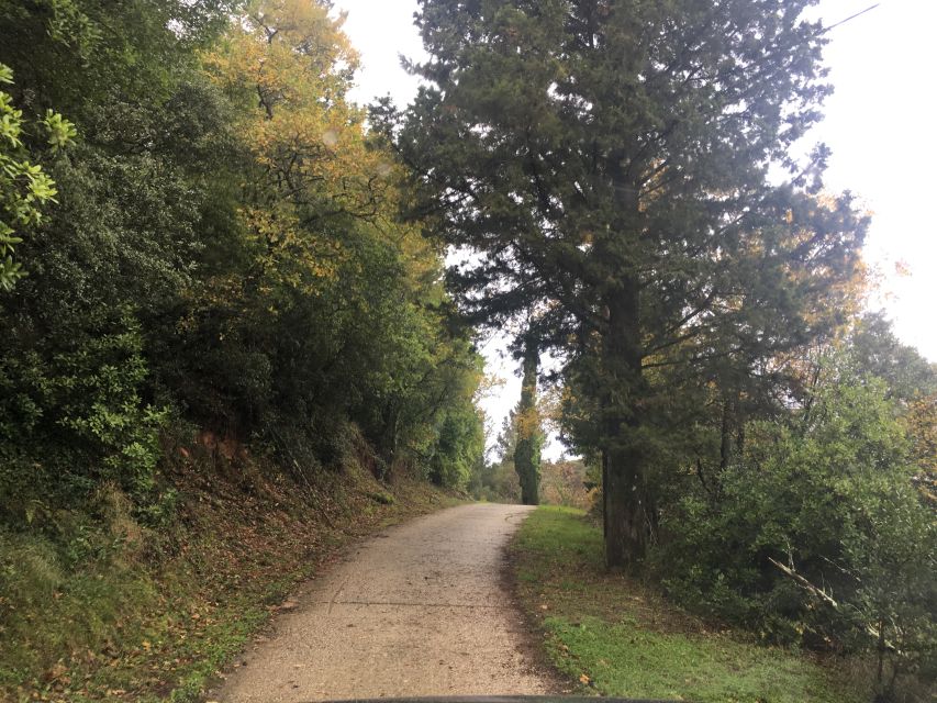 Corfu: Full Day Small-Group Trip with Lunch - Korission Lake and a quieter side of the island