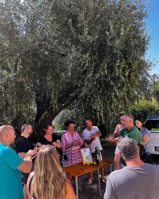 Corfu: Greek Cooking Class & Olive Oil Tasting - Who should book this cooking and olive oil day