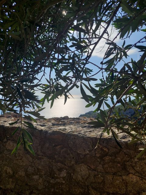 Corfu: Hiking in Olive Groves,Village,Sunset,with Swim Stop - Following the trail toward Rovinia