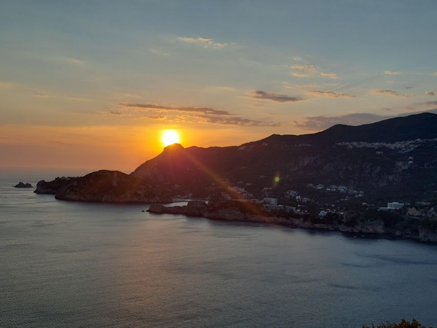 Corfu: Hiking in Olive Groves,Village,Sunset,with Swim Stop - Olive groves and Corfu’s oil-making tradition