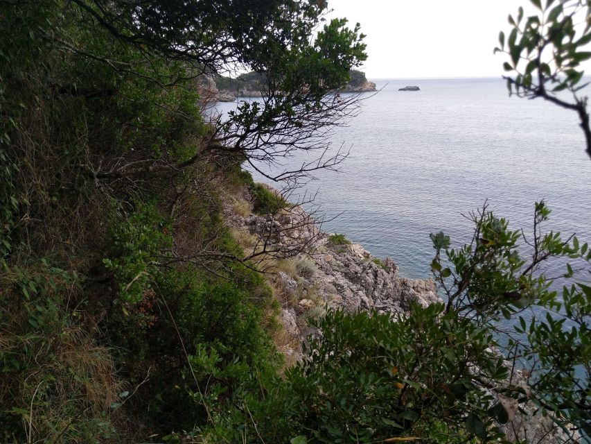 Corfu: Hiking in Olive Groves,Village,Sunset,with Swim Stop - What the guide adds