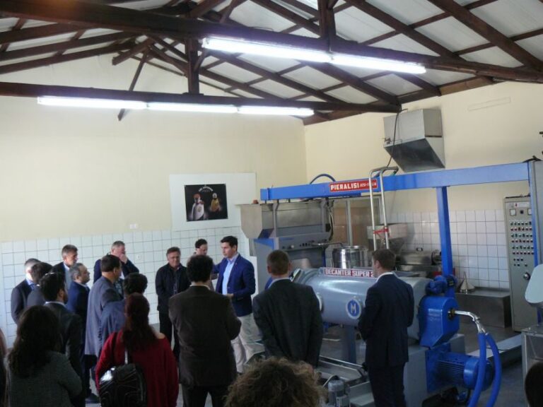 Corfu: Olive Oil Experience - The Governor's Olive Mill - Timing that matters: pickup, start time, and how long it really takes
