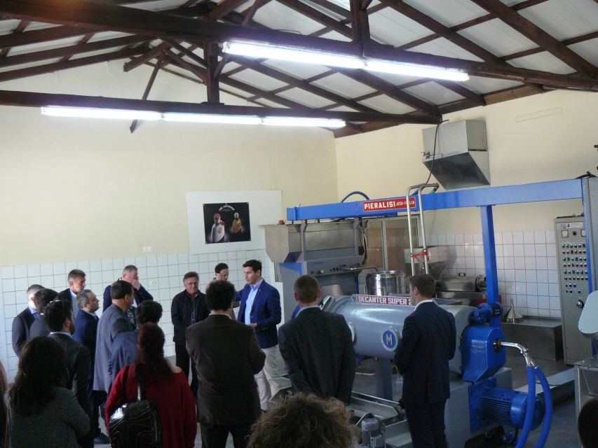 Corfu: Olive Oil Experience - The Governor's Olive Mill - Timing that matters: pickup, start time, and how long it really takes