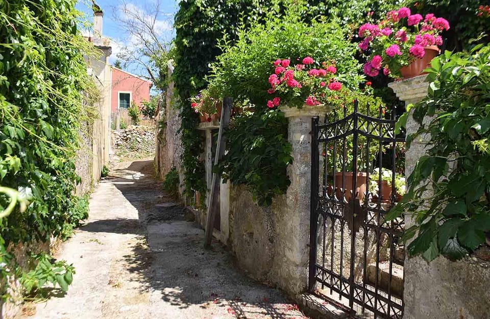 Corfu: Olive Oil & Wine Tastings & Traditional Villages Tour - Vistonas and the old olive oil craft