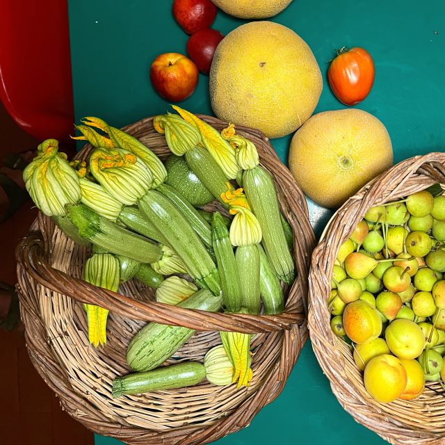 Corfu: Organic Olive Oil Farm Tour with Transfer and Tasting - From harvest to bottle