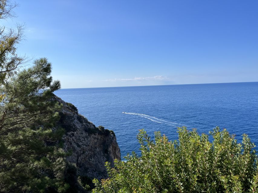 Corfu: Palaiokastritsa, Mouse Island, and Old Town Tour - Who should book this Corfu tour?