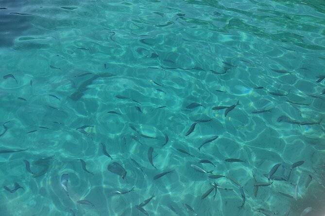Corfu Private Boat Tour - Vido Island brings the first proper swim