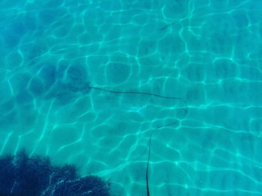Corfu: Private Sailing Yacht Cruise - Swimming Near Vido Island