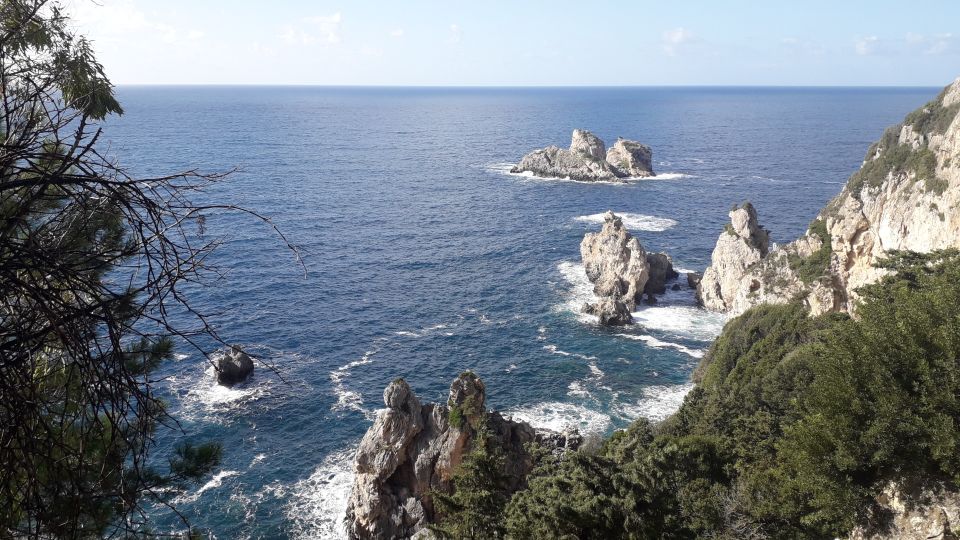 Corfu: Sightseeing tour in Corfu, small group - Olive oil, a taste of everyday Corfu