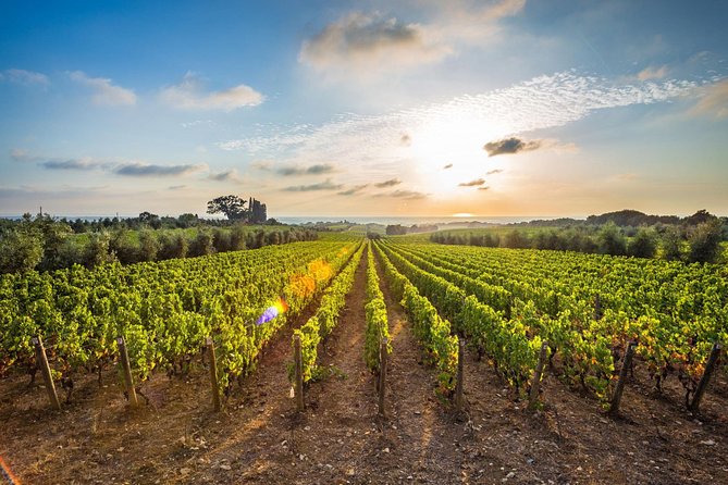 Corinth and Nemea Wine-tasting full day tour from Athens - Ktima Palivou and the appeal of Nemea wine