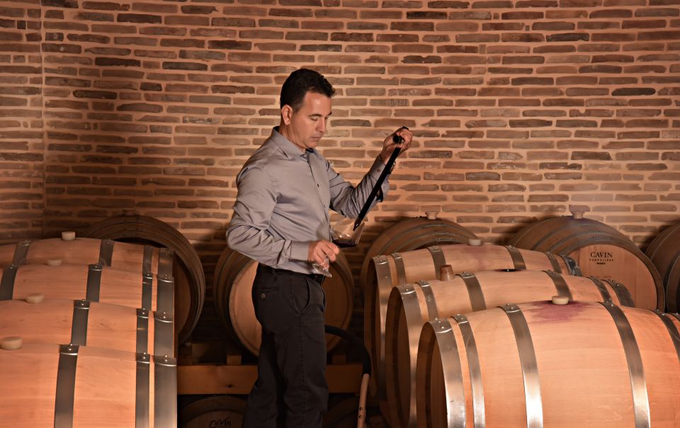 Corinth: Winery Tour and Organic Fine Wine Tastings - From grape to cellar