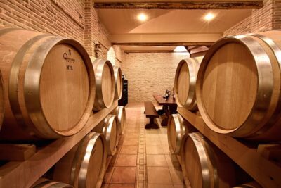 Corinth: Winery Tour and Organic Fine Wine Tastings - Walking through the organic vineyard