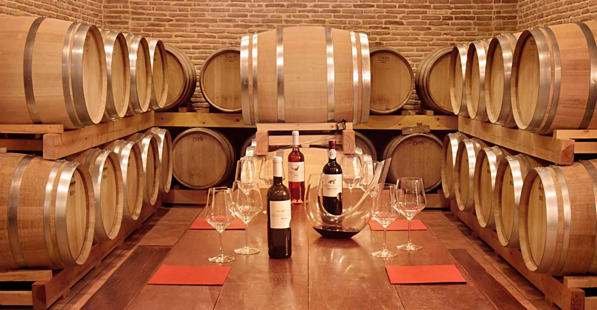Corinth: Winery Tour and Organic Fine Wine Tastings - Cheese, tomatoes, olives, and breadsticks