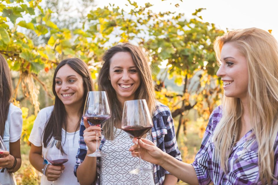 Corinth: Winery Tour and Organic Fine Wine Tastings - What makes the guide important