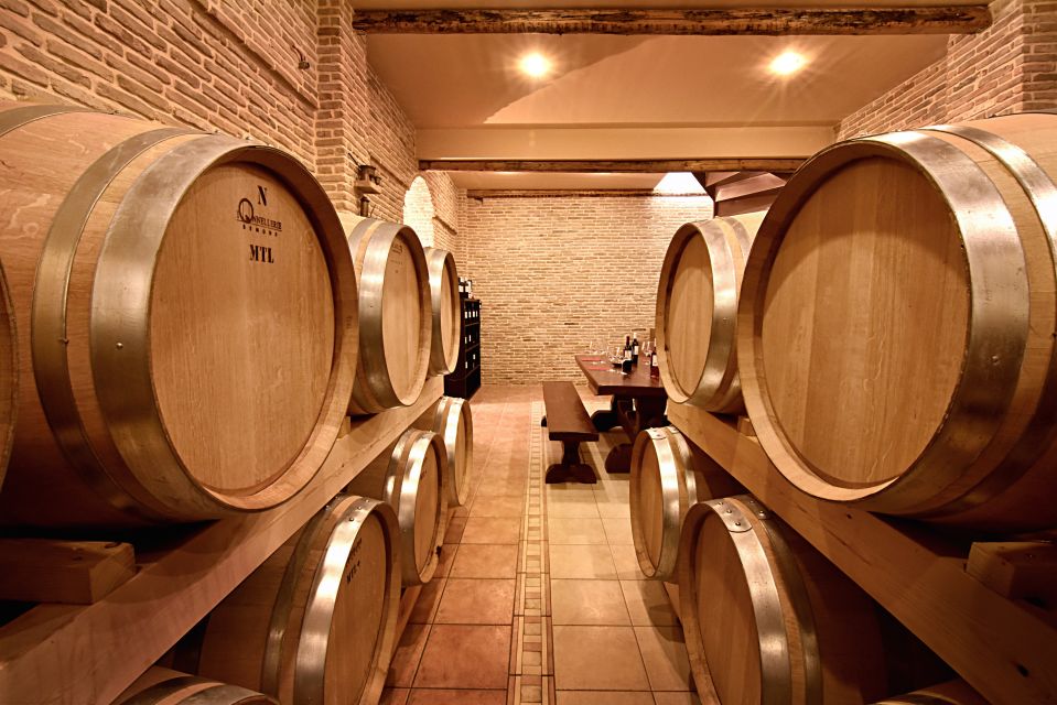 Corinth: Winery Tour and Organic Fine Wine Tastings - Walking through the organic vineyard
