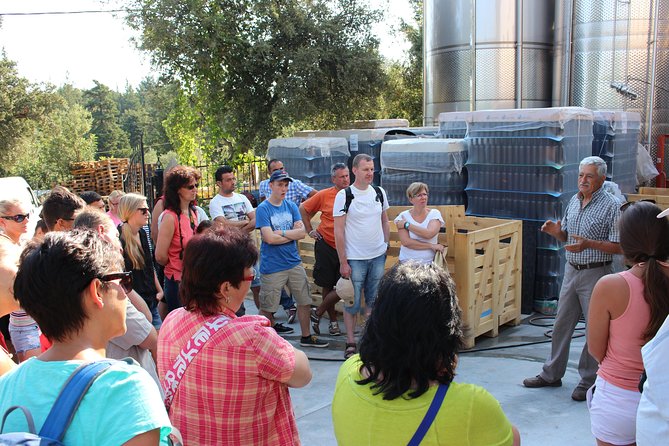 Cretan impressions - Chora Sfakion and Plakias - The winery, herb gardens, and vaulted cellar