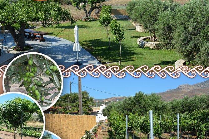 Cretan Traditional Cooking Lessons - Key points at a glance