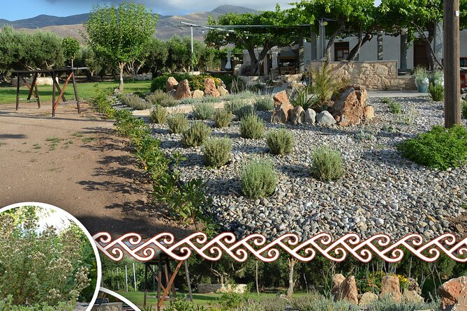 Cretan Traditional Cooking Lessons - Why the farm-to-table angle matters