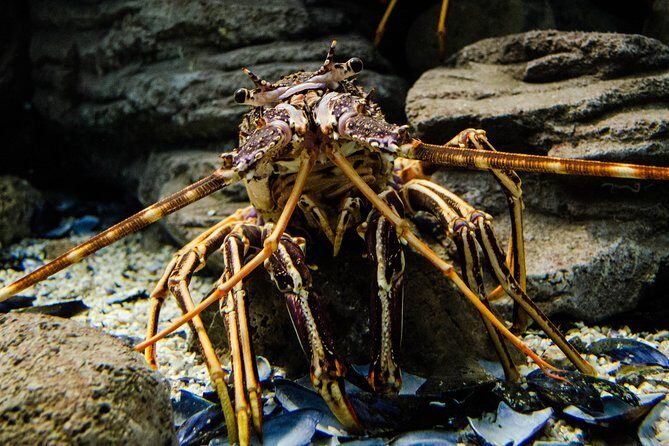 CRETAquarium Entrance Ticket in Crete - Facilities and breaks: cafeteria, parking, and sea views
