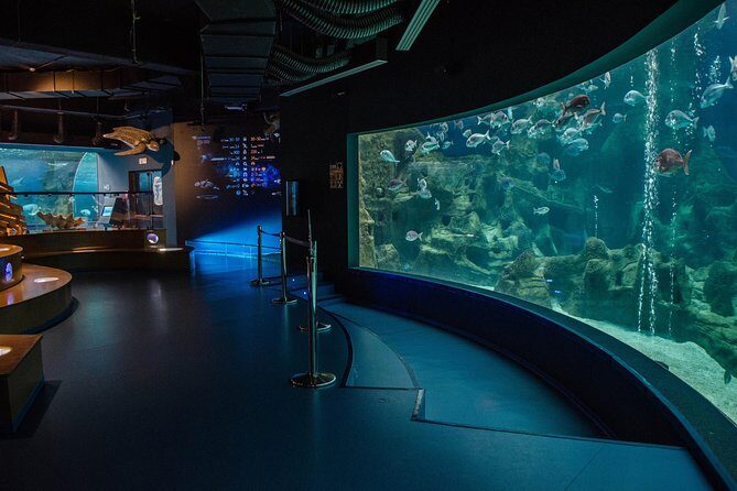 CRETAquarium Entrance Ticket in Crete - Where it starts: CRETAquarium Thalassokosmos in Heraklion