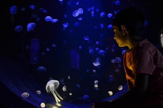 CRETAquarium Entrance Ticket in Crete - Best for: who should book this entrance ticket