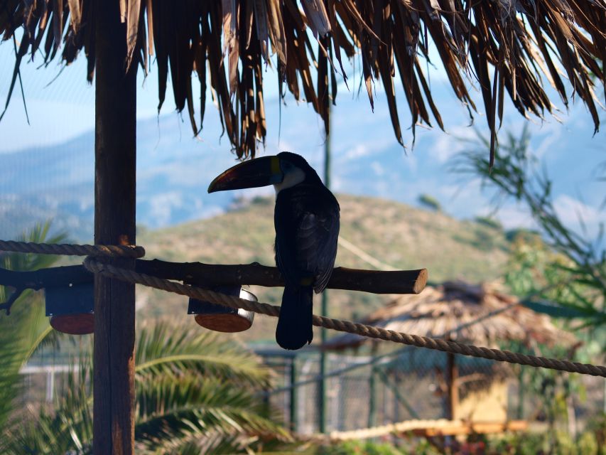 Crete: Agios Nikolaos, Kritsa and Amazonas Park Day Trip - Who should book this Crete day trip?
