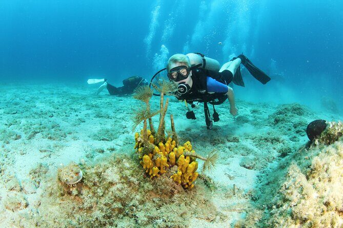 Crete-Chania: Snorkeling & Scuba Dive for Beginners by Boat - Chania Coast by Boat: Why This Format Works for Beginners