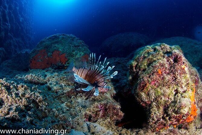 Crete-Chania: Snorkeling & Scuba Dive for Beginners by Boat - Price Check: Is $181.02 Worth It in Real Terms?
