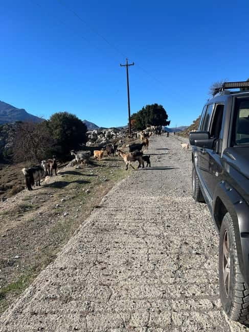 Crete: Explore Lassithi Plateau, Myths & Cretan Cuisine - Krasi’s ancient plane tree
