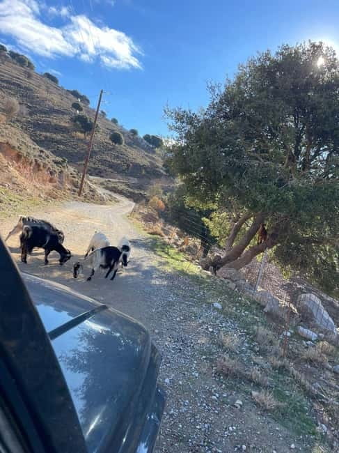 Crete: Explore Lassithi Plateau, Myths & Cretan Cuisine - Through Avdou, Kastamonitsa, and the mountain villages