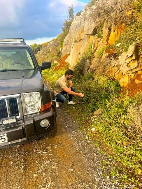 Crete: Explore Lassithi Plateau, Myths & Cretan Cuisine - The Lasithi Plateau and its old windmills