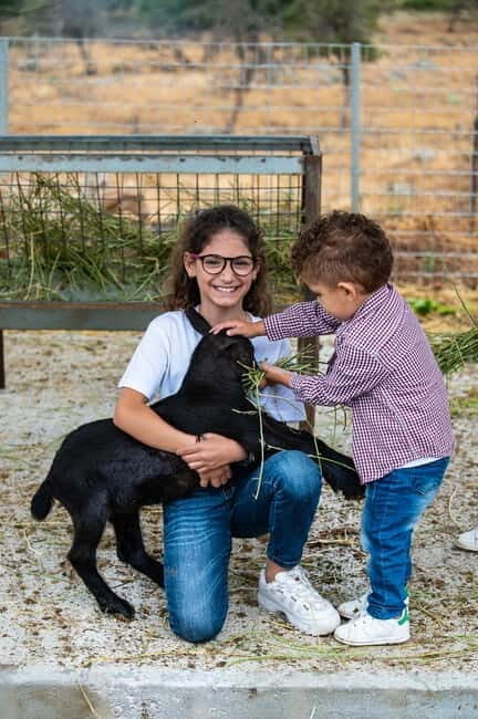 Crete: Farm Visit with Cheese Tasting and Milking Experience - Who This Farm Visit Is Best For (and Who Might Want Something Else)