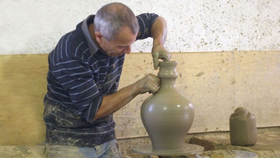 Crete: Full-Day Cretan Wines, Olive Oil, Raki and Food Tour - The family winery: organic vineyards and a guided tasting of 5 wines