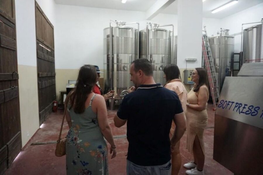 Crete: Full-Day Cretan Wines, Olive Oil, Raki and Food Tour - Timing, van rides, and how to make the day feel easy