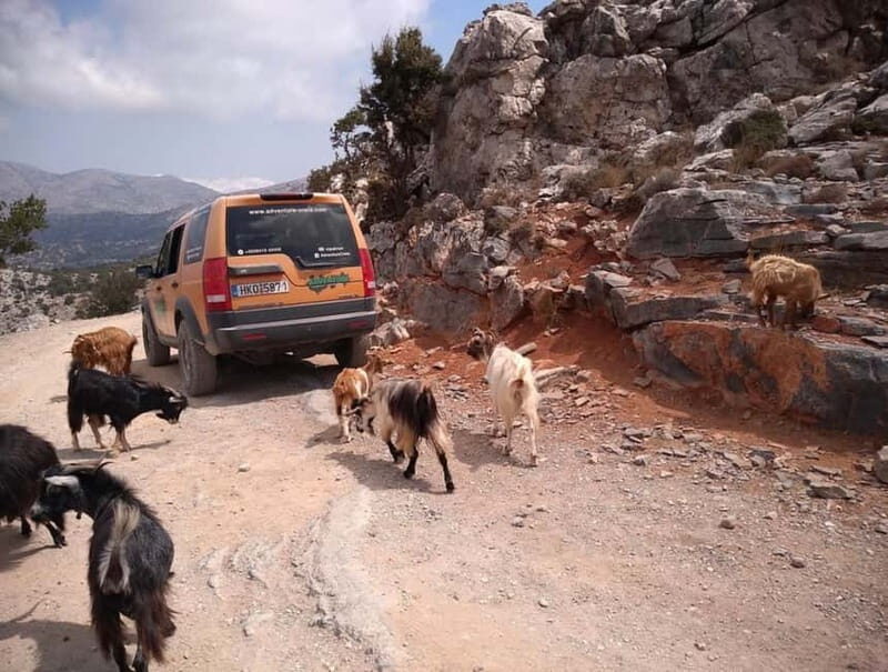 Crete: Full-Day Private Tour - Your guide and the language mix that keeps things easy