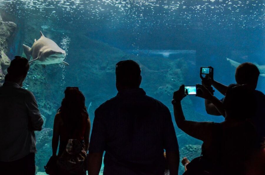 Crete: Heraklion Center, Local Market and Creta Aquarium - Price and value: what $23 really buys, and how to make it worth it