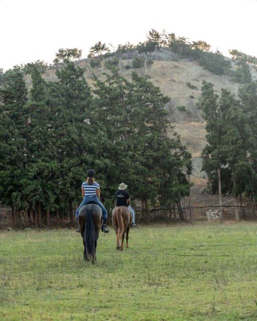 Crete Horse Riding: Cretan Countryside Ride - Riding through Crete’s ancient olive groves