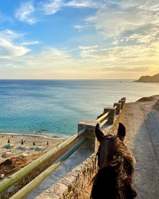 Crete Horse Riding: East Coastline Ride - Olive groves to Damnoni beach: the ride’s scenic warm-up