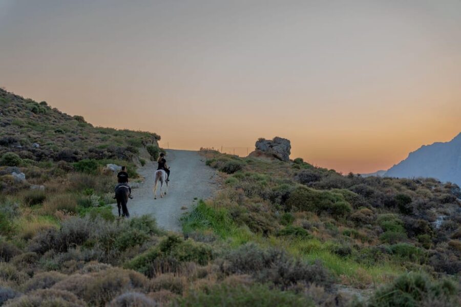 Crete Horse Riding: Mesmerising Sunset Ride - Horses and guides: Why calm matters more than speed